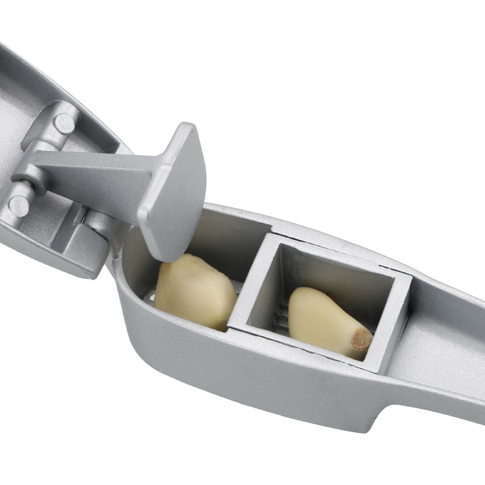 Snijmachine keuken kookgereedschap handleiding knoflookpasta gereedschap 2 in 1 knoflookpers fruit & groente gember crusher chopper snijder