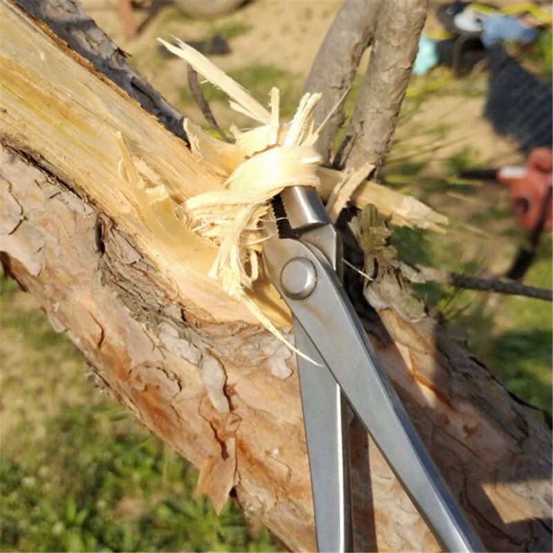 Jin tang begynder bonsai værktøj 210 mm (8 " 3)  fremstillet af rustfrit stål