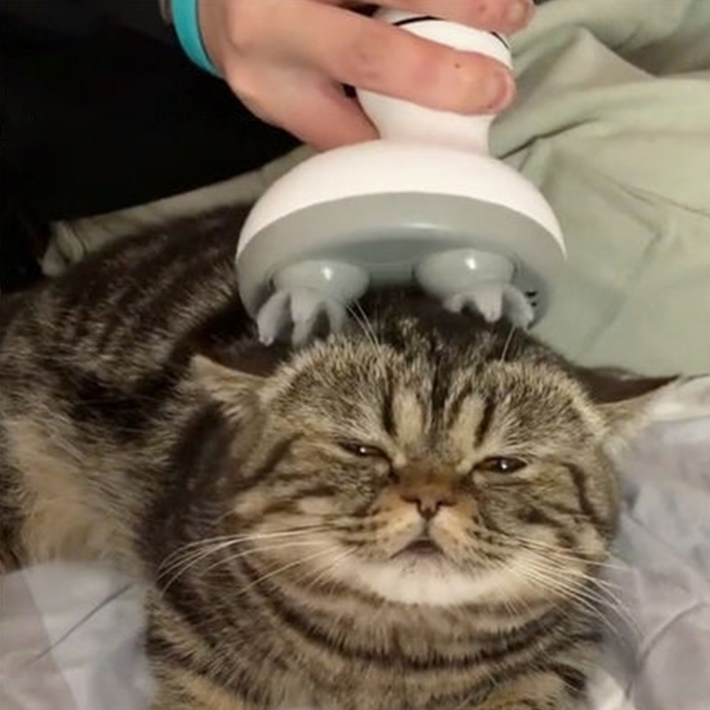 Elektrische kat stimulator automatische grooming pet intelligente opladen kat massager kat borstel producten voor huisdieren