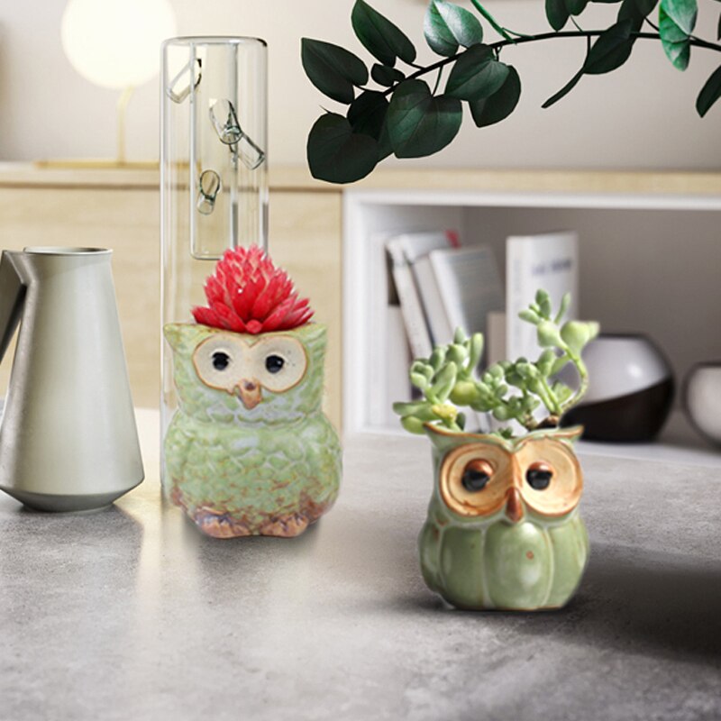 Maceta de cerámica con dibujos en forma de búho para plantas suculentas, decoración del hogar, de estilos aleatorios de plantas en macetas