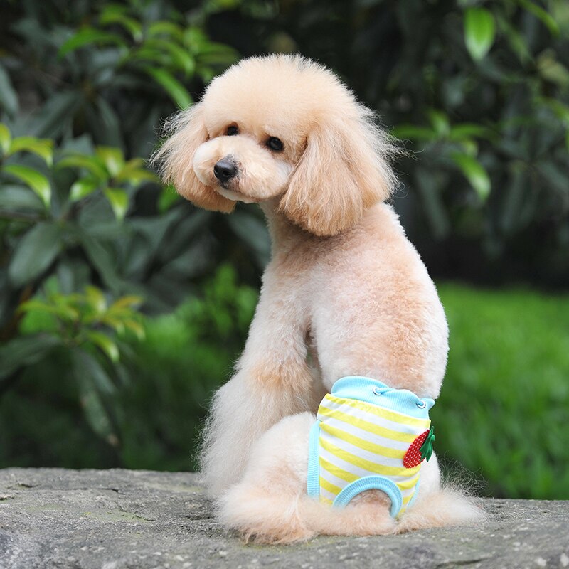 Cute Pet Dog Puppy Sanitaire Broek Short Panty Gestreepte Luier Ondergoed