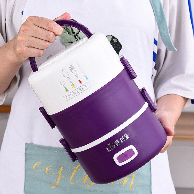 Elektrische lunchbox, mini rijstkoker, elektrische pot, voedselverwarmer, kleine draagbare multicooker, eierkoker, roestvrijstalen soep-stomer