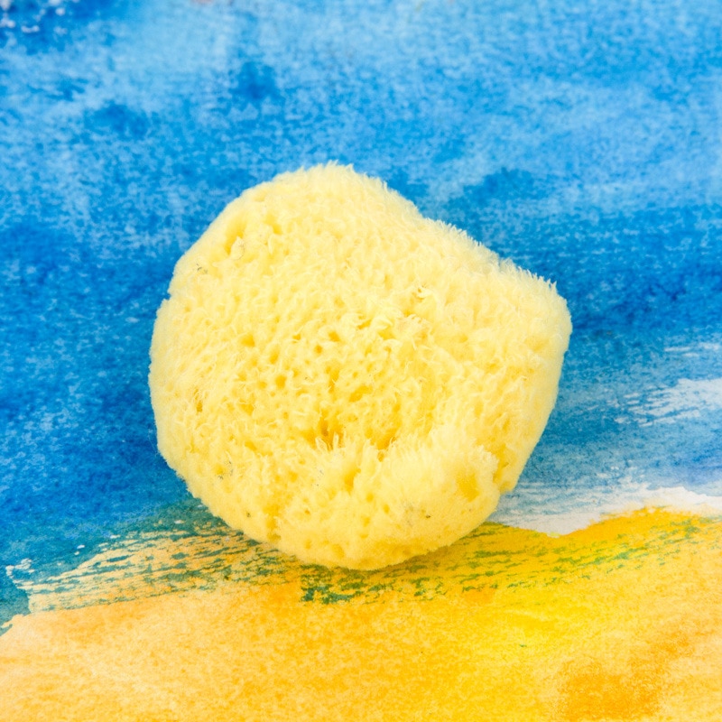 1PC Natürliche Griechenland Schwamm Wasser Absorption Werkzeug Aquarell Gouache Schwamm 4-7CM Für Malerei Zeichnung Kunst liefert