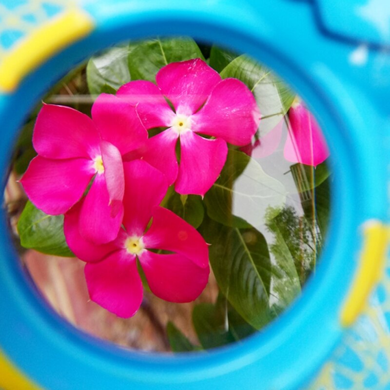 Cartoon Insect Vorm Vergrootglas Outdoor Exploratie Leren Kids Kinderen Educatief Speelgoed Vergrootglas Lieveheersbeestje Vlinder