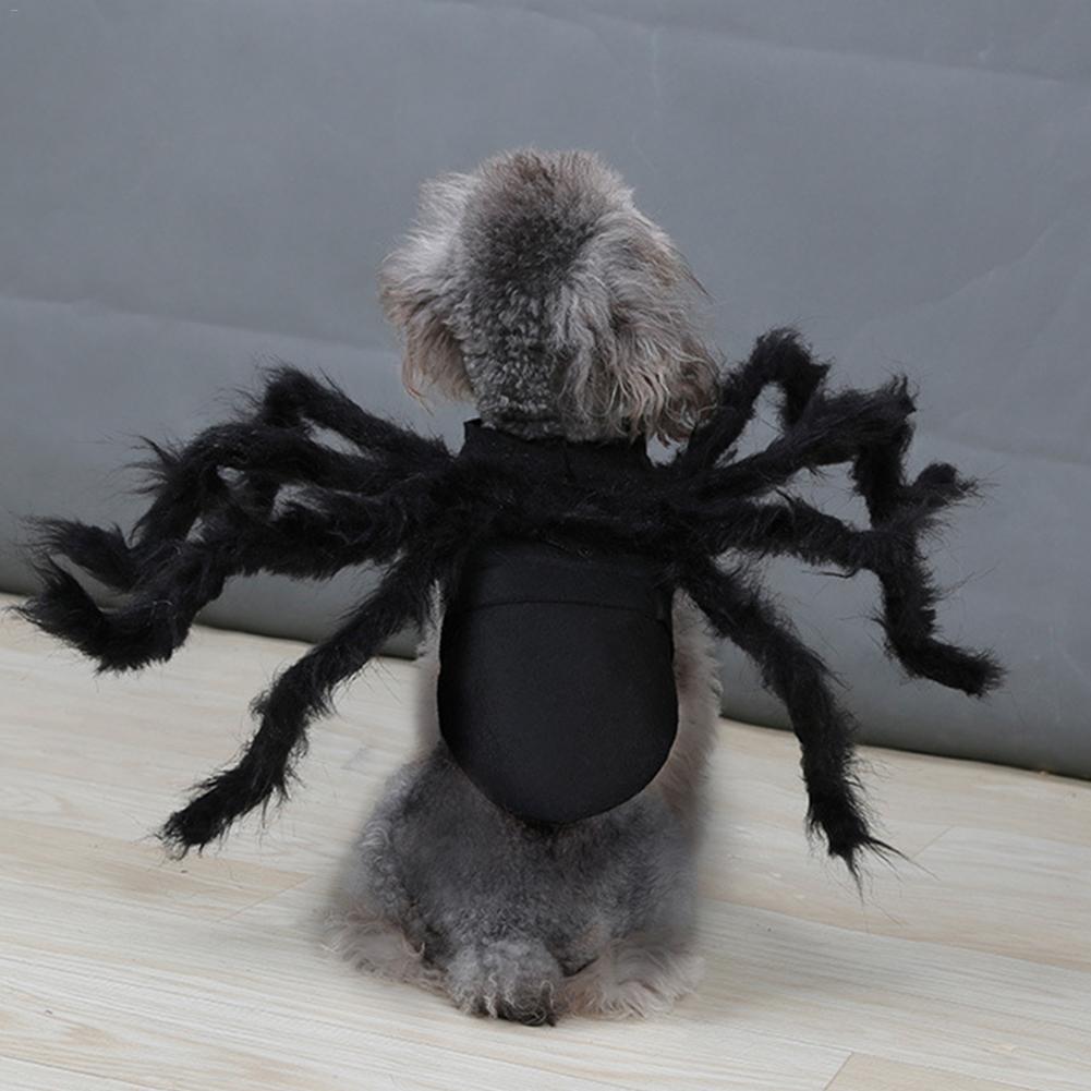 Halloween Haustier Spinne Kleidung Hund Katze Kostümich Grusel Simulation Plüsch Spinnen Haustier Kleid hoch Party Leistung Kleidung