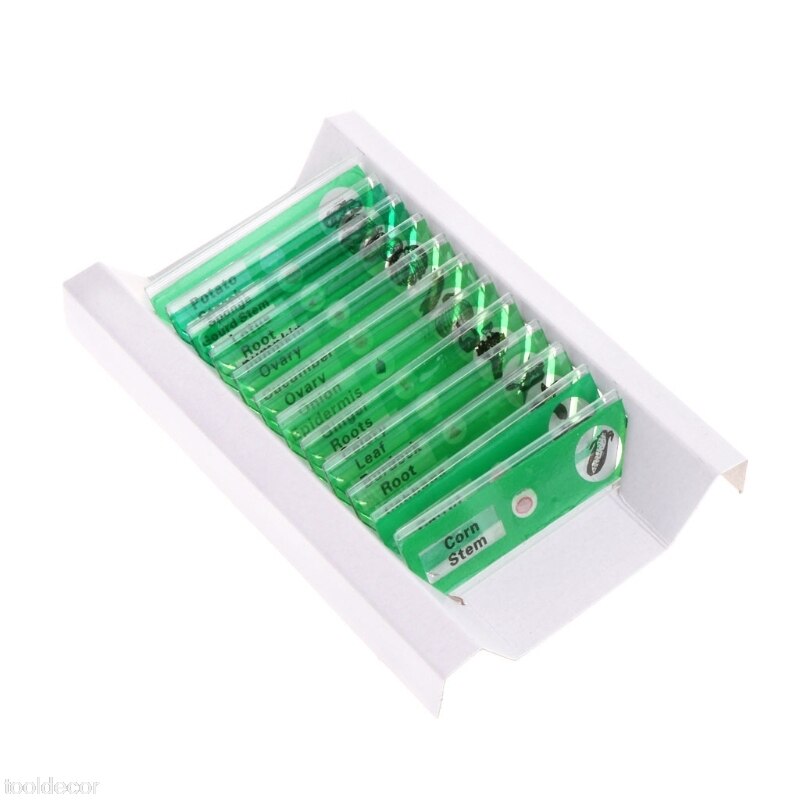 12 Pcs Prepared Microscope Slides Set Specimen For Student Basic Biology Education: Green