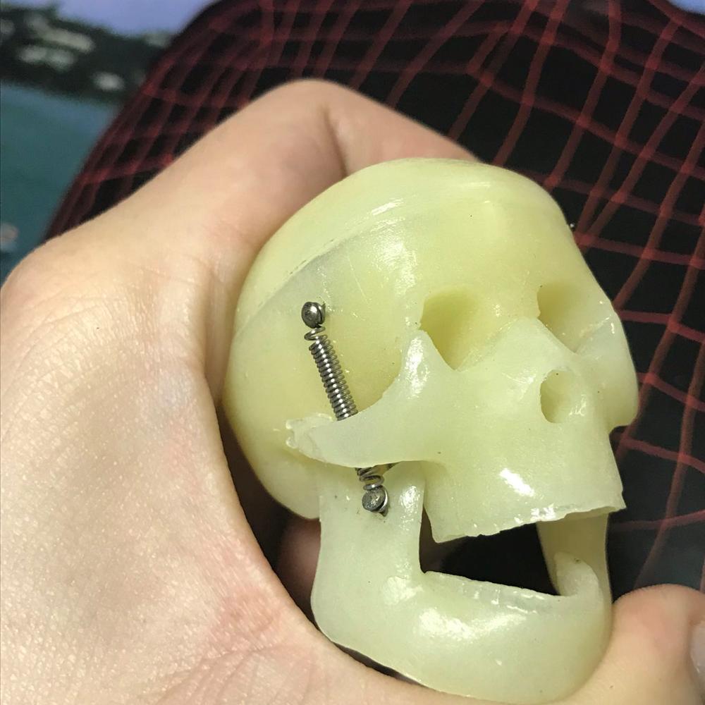 Menselijk Anatomie Skelet Hersenen Schedel Wervelkolom Oogbol Hart Tanden Skelet Sleutelhanger