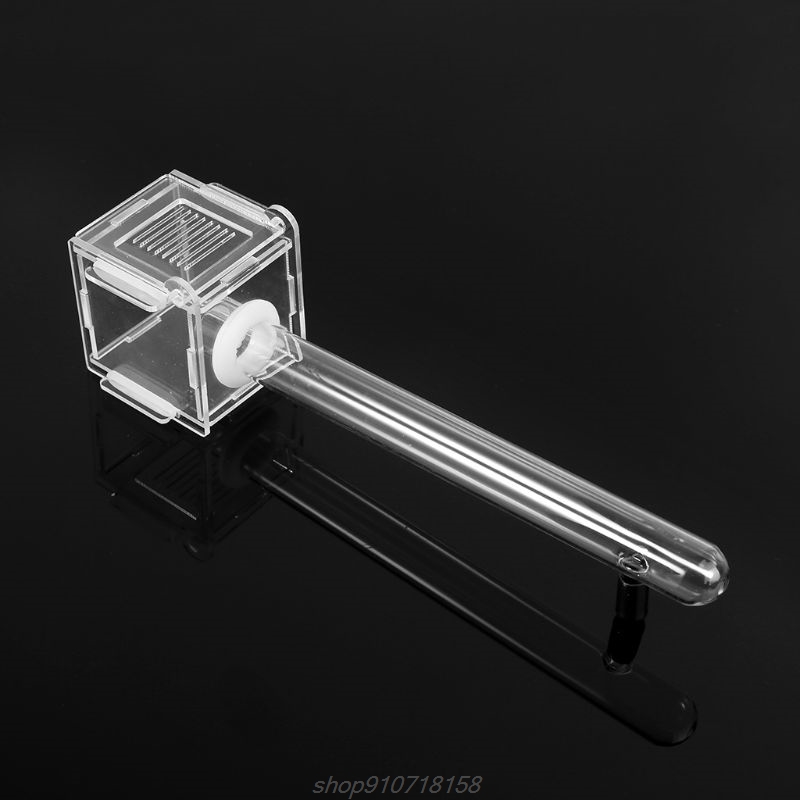 Formicaio nido di vetro mini nido di formica con zona attiva insetto casa formica acrilica fattoria M12 21 Dropship