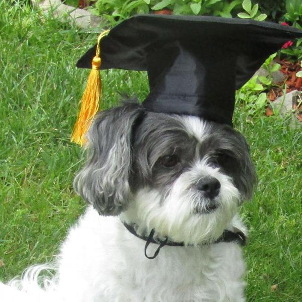 Puppy Dog Dr. Hat Decoration Dog Custom Graduation Cap Dog Degree Headgear For DIY Pet Party Accessories