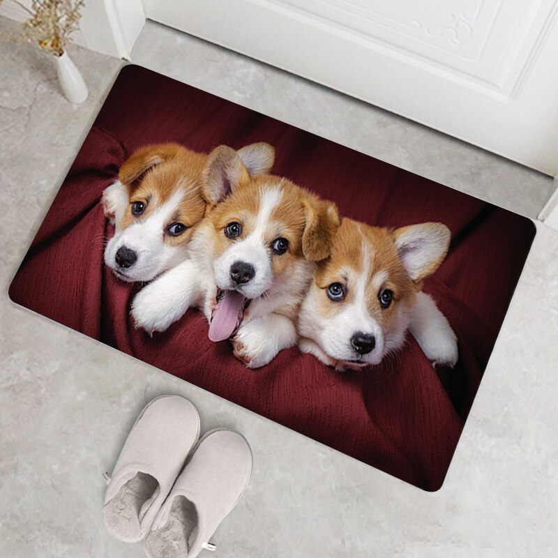 Tapis de bain à motif Corgi, accessoire de salle de bains, cuisine, salle de bains, antidérapant, moderne, lavable, paillasson d&#39;entrée de maison, moins cher