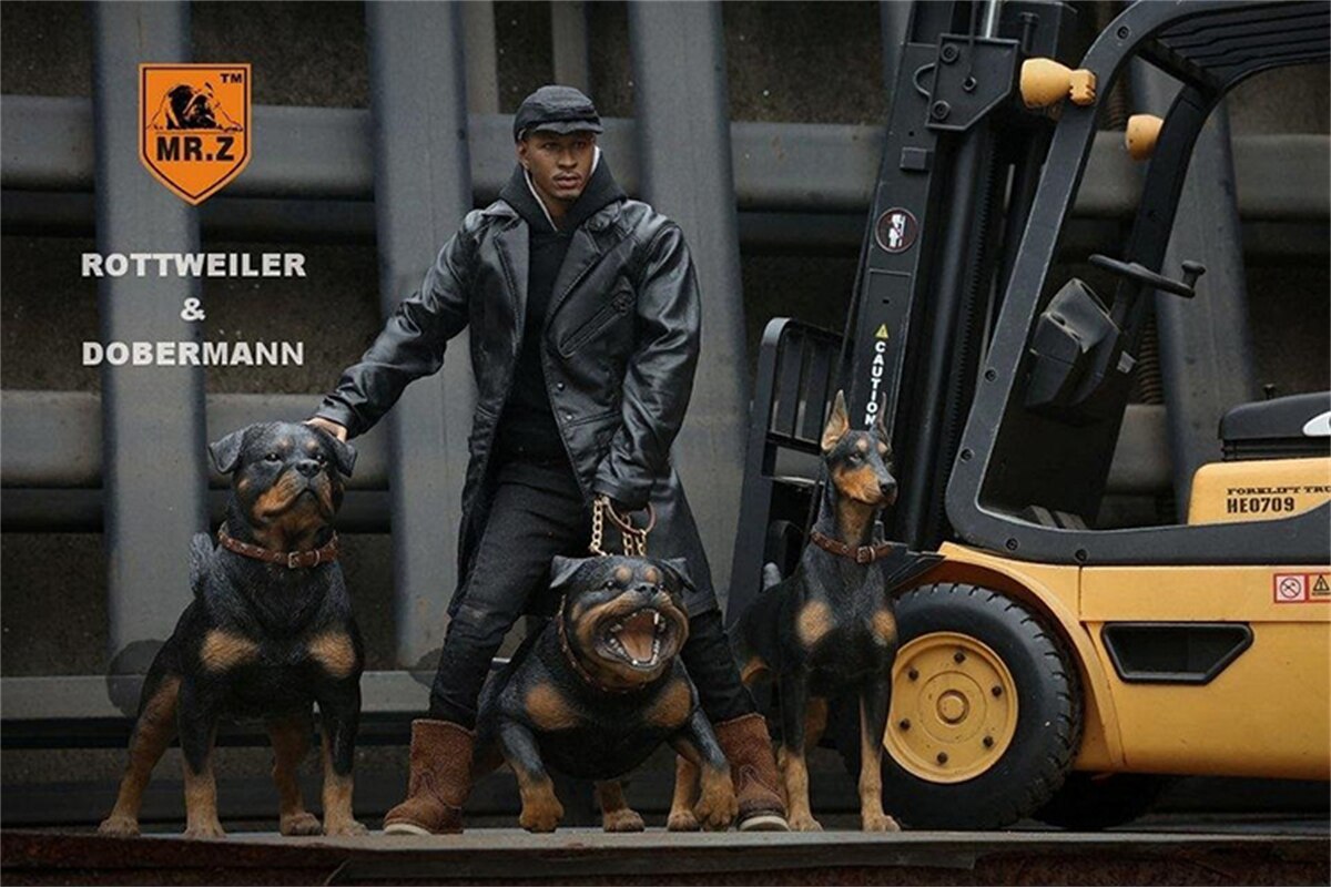 Mr.Z Studio 1:6 Rottweiler Figure Cute Police Pet Dog Animal Model Collector Decor Kid Resin Office Desktop Accessories