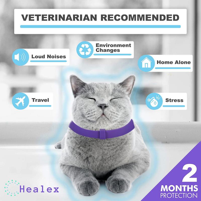 Photo inspiration: Calm Collar Cat Comforting Collar Relieve Anxiety Photo Inspiration