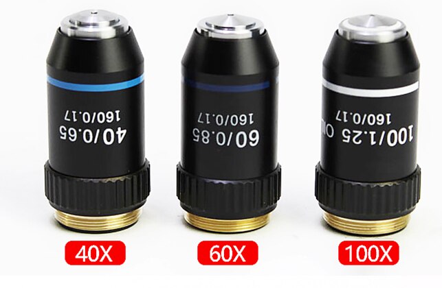 hilo de RMS 160/0 17 4X 10X 20X 40X 60X 100X (aceite) Microscopio biológico de lente de objetivo