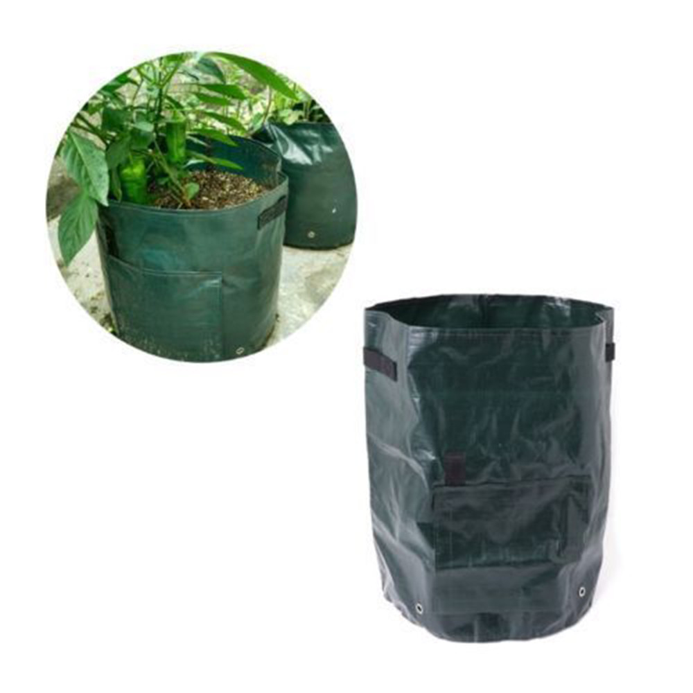 Kartoffel vokse planter beholder hjem frøplanter have balkon bonsai have dekoration blomsterpotte søde kartofler dyrkning potter