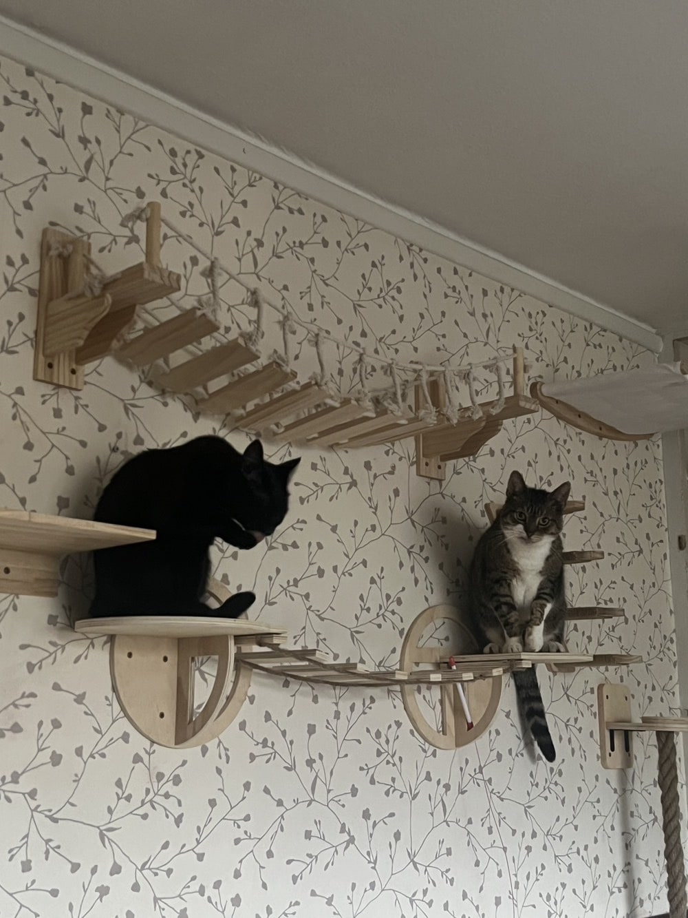 Cat Wall Mounted Wooden Climbing Shelves Cat House and Hammock for Platform and Ladder Turning Channel for Cat Indoor Furniture