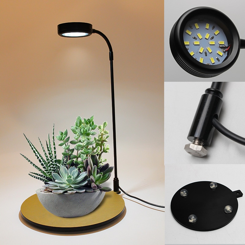 Mikro landskab plante lampe led lys wabikusa mini nano natur træ akvarium vand plante vokse led lys