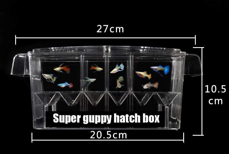4 caja de la escotilla de la habitación suspende la caja de cría de la separación de los peces pequeños del guppy del acuario
