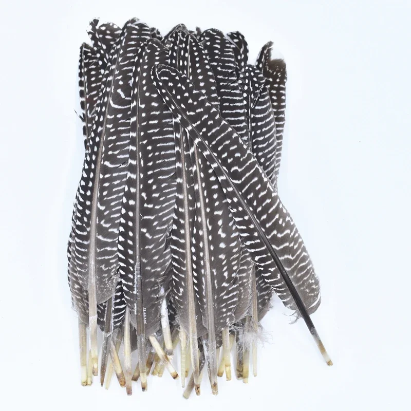Polka Punkt Meerschweinchen Henne Flanke PerlenflüGel Hühnerfedern Kunsthandwerk Fasanenfeder Schmuck Kunsthandwerk Zubehör Dekoration: L / Weiß