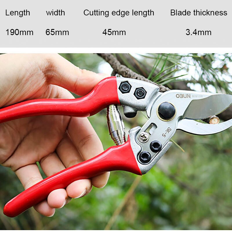 SK5 Pruner Pruning Shears Scissors Horticulture Fruit Tree Shears Rose Cippers Bonsai Gardening Secateurs Grafting Tool: green