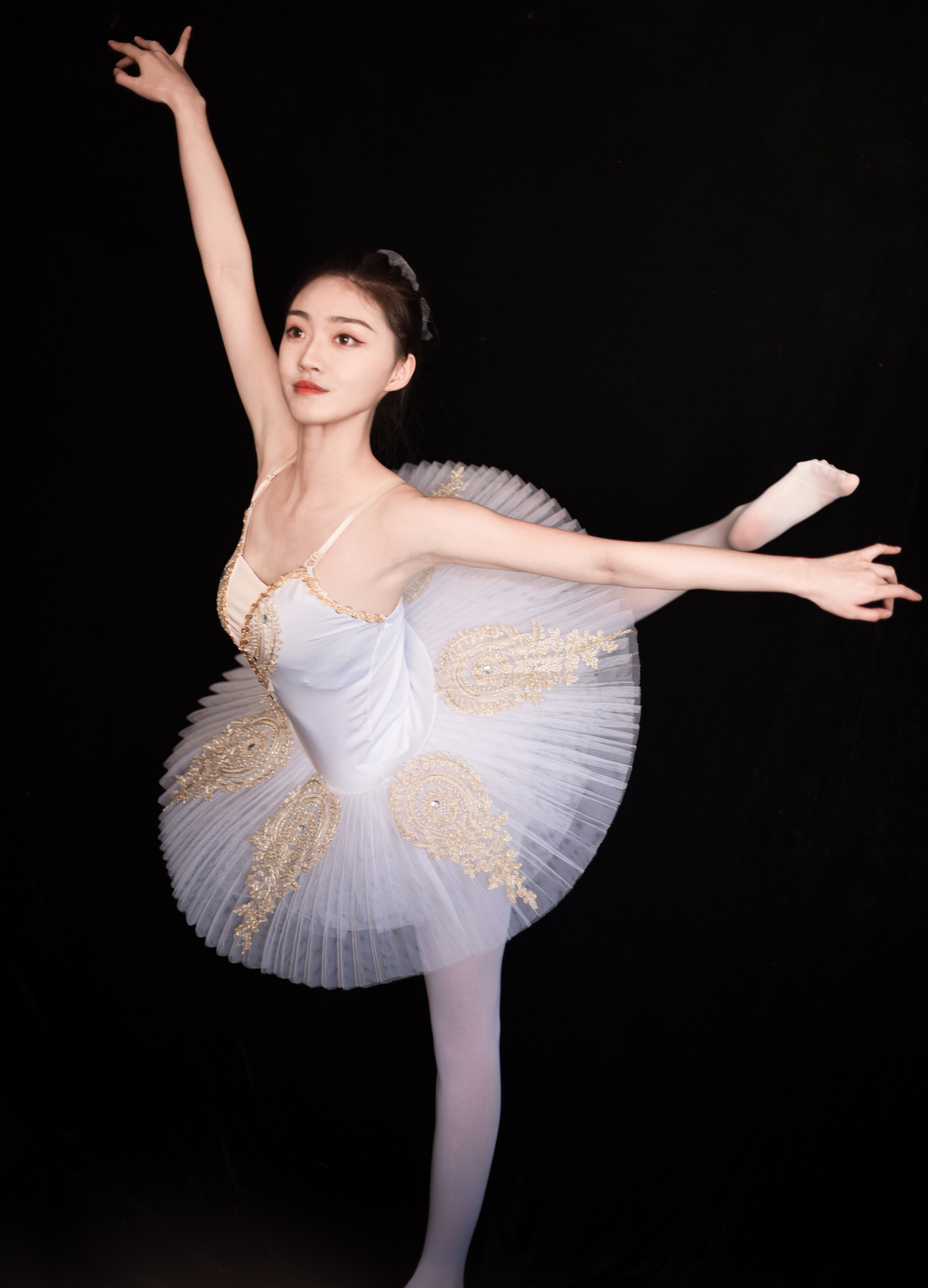 Children's ballet skirt costumes Swan Lake tutu tutu skirt suspenders adult ballet costumes