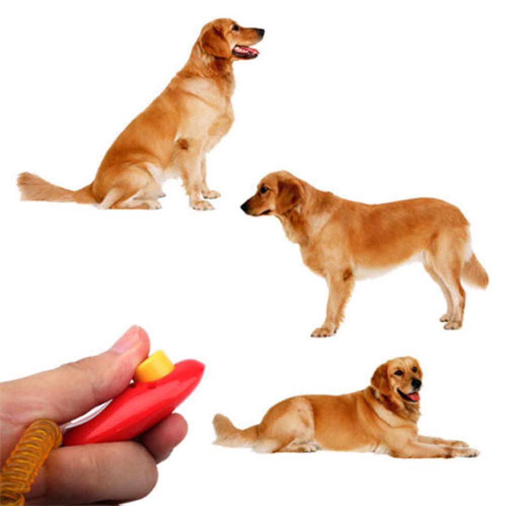 1Pc Training Hond Clicker Klik Met Polsband Voor Honden Training Gehoorzaamheid 30g4