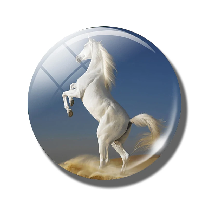 Pferd 30 MM Kühlschrank Magnet Glas Kuppel Cabochon Magnetischen Kühlschrank Aufkleber Hinweis Halfter Nette Tiere Wohnkultur: Schokolade