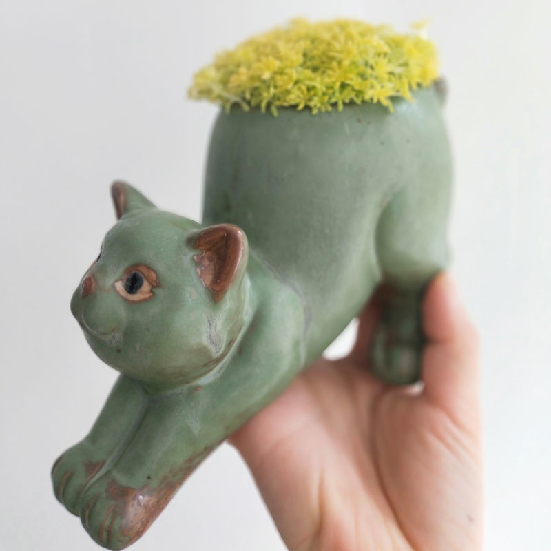 Sukkulenten-Blumentopf, Katze, niedliches Karikatur-Ebene, kreative Persönlichkeit, Spaß, Keramik, Wannian Gras, Affe, Schwanz, Säule, Büro-Ornament