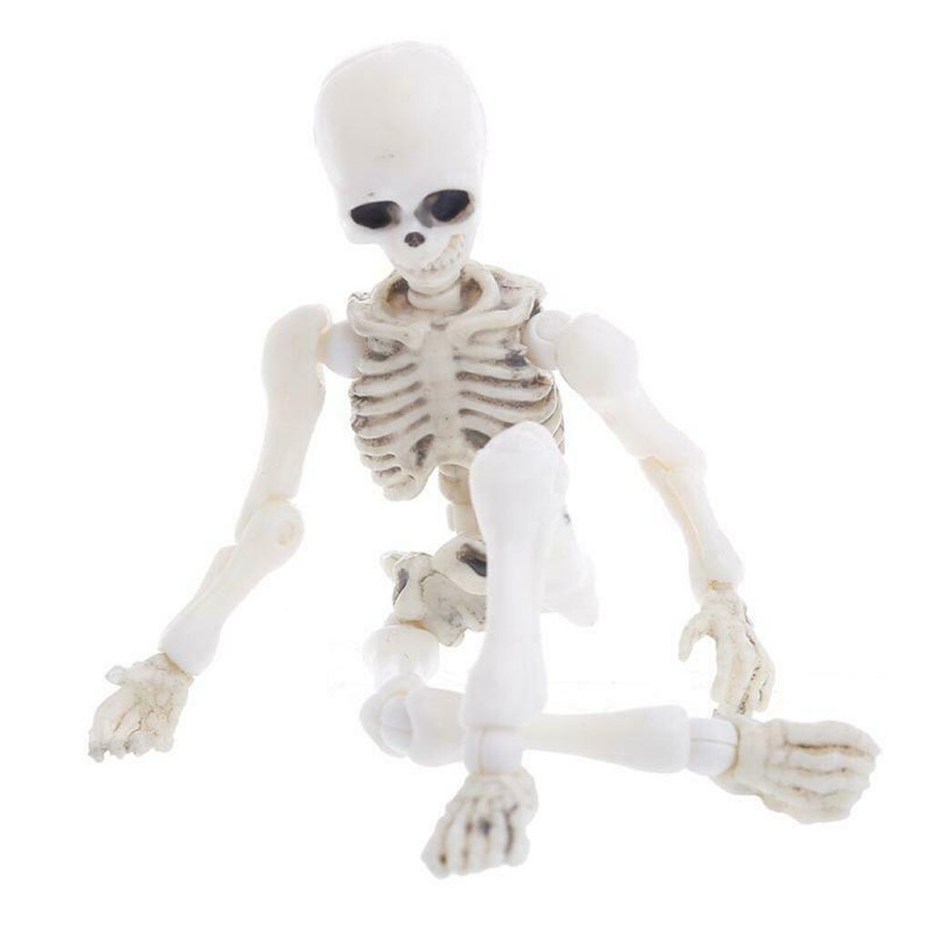 Halloween Beweglichen Skelett Menschlichen Modell Schädel Voll Körper Mini Figur Spielzeug Halloween flexibel Menschlichen Anatomischen Anatomie Knochen: Default Title