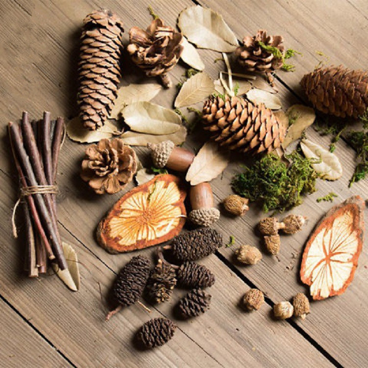 Photography photo props decoration diy retro forest decoration set cosmetic decorations with background