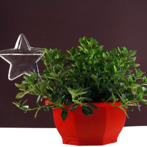 Alimentador automático de agua para plantas y flores, dispositivos de autorriego, alimentador de agua de vidrio transparente, forma de pájaro, 6 formas