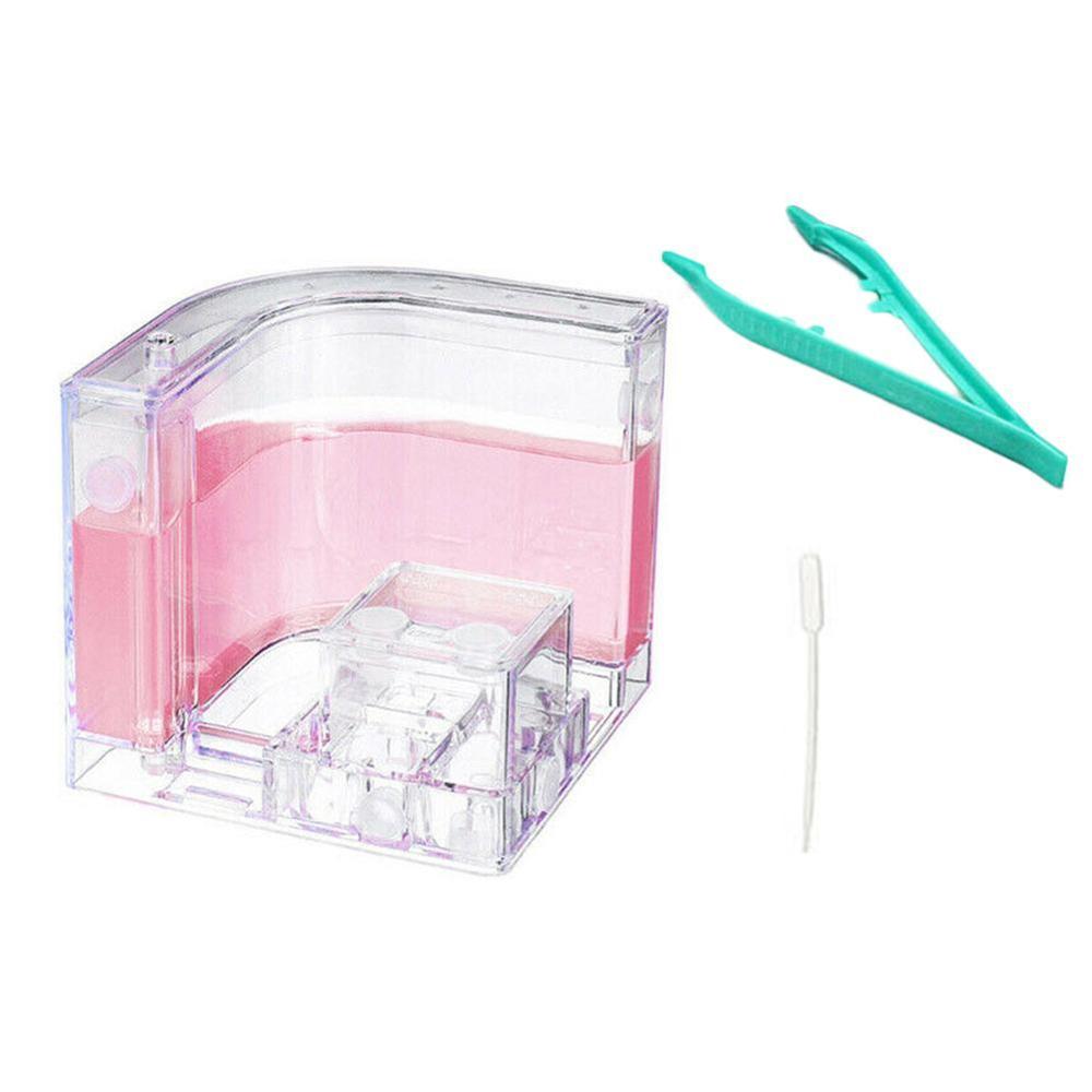 Large Acrylic Ant Farm with Feeding Area Big Ants House Ant Nest Villa Insect Pet Anthill Workshop 6 Layers 19.5*15*22cm: Pink