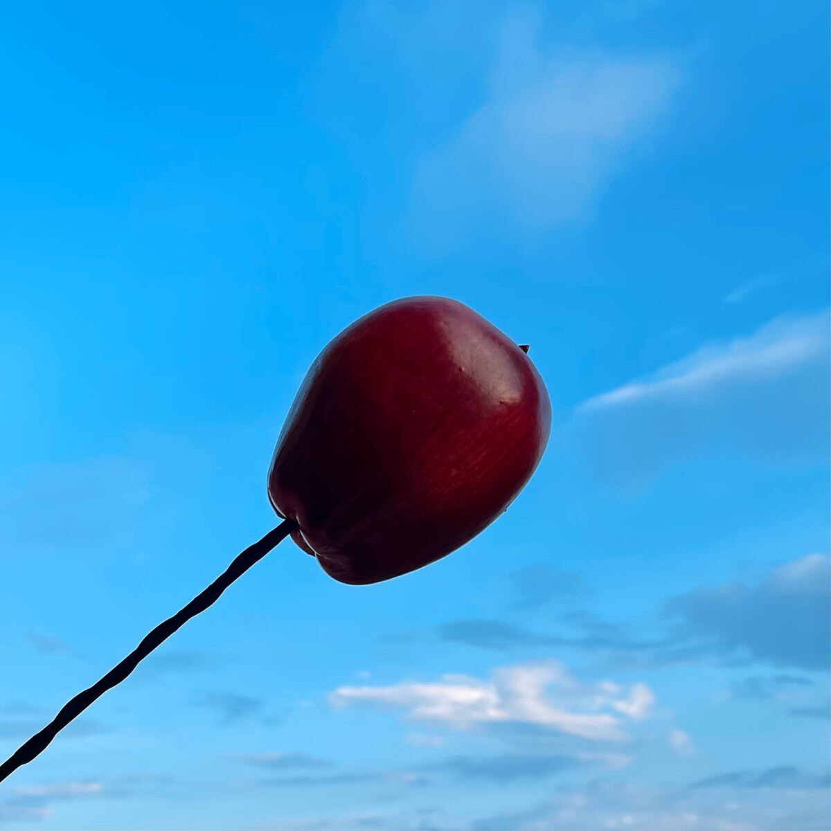 Mini Auto Antenne Decoratie Exterieur Decoratie Antenne Leuke Cartoon Voedsel Pop Cactus Dak Modificatie: NO.20