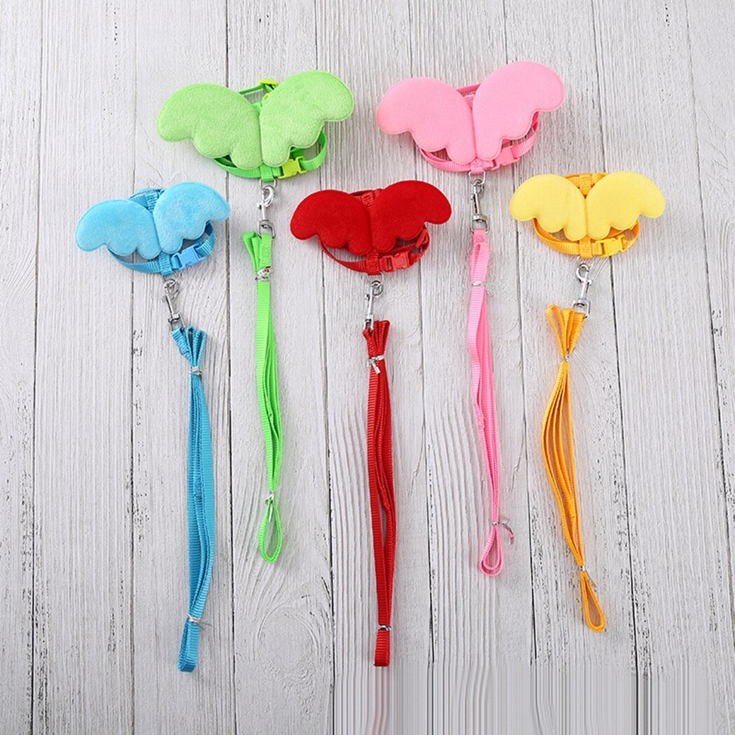 nastawny połączenie kaczka uprząż smycz lina dla kaczka mały Zwierząt trening pieszy holowniczy lina zwierzę domowe kieszonkowe dzieci