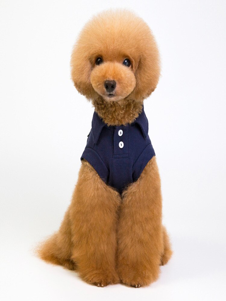 Huisdier Kleding Revers Marine Outfit Hond Kleding Mode Boog Teddy Hond Kleren