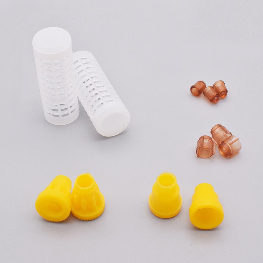 Queen Rearing Box Queen Breeding Kit Bee Incubator Beekeeping Tool Kit Queen Cell Complete Rearing Kit Beekeeping Rearing System