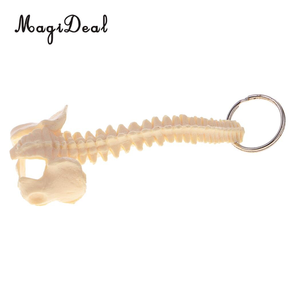 MagiDeal 1Pc Mini PVC Material Handcrafted Human Spine Skeleton Model Keychain for School Teaching Aid Tool Novelty Beige