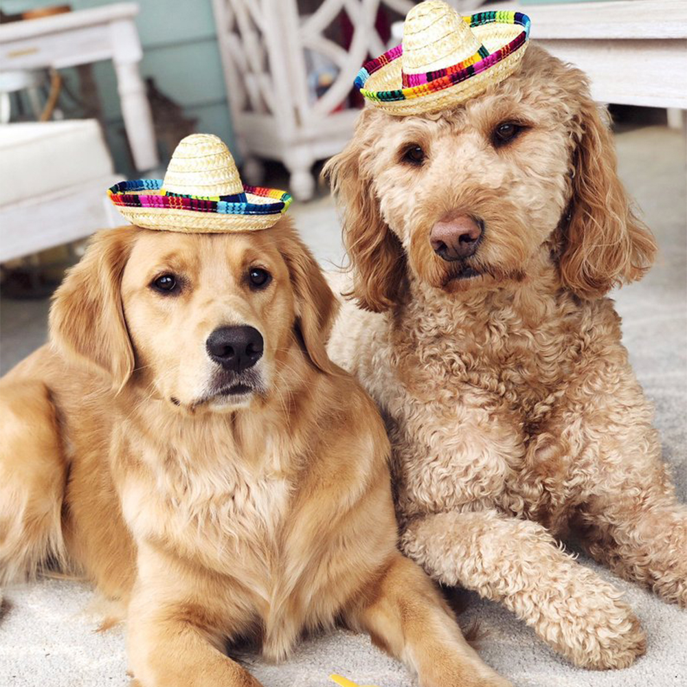 Strohoed voor huisdieren, sombrerohoed, mexicaanse hoeden, decoratieve feesthoed voor kat, hond, kleine huisdieren, honden, hawaiiaanse stijl hoed voor honden, accessoires