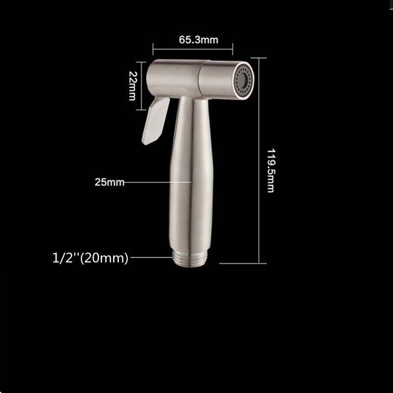 PINEBAY Premium Satin Gebürsteter 304 Edelstahl Bidet-Sprüher-Set für Toilette B