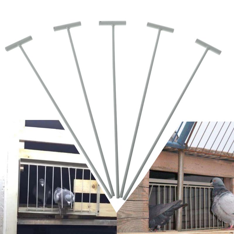 5 Pcs Pigeon Cage T-Shaped Bars Pigeon Bird Trap Entrance Iron Wires Curtain Iron T-shaped Bars Removable Metal Bars 농사 свинья