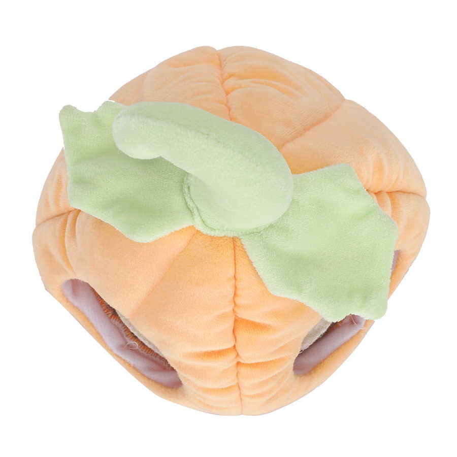 Kleine Huisdier Houden Warm Huis Cavia Chinchilla Egel Hamster Pompoen Katoen Nest