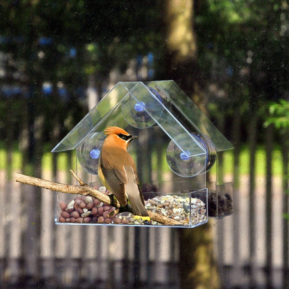 Fenêtre En Verre transparent De Mangeoire Pour Oiseaux de Table D'hôtel Graine D'arachide Suspendu D'aspiration CD