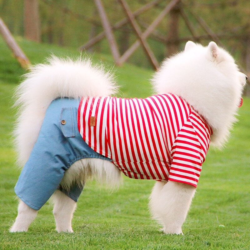 Large Dog Clothes Winter Big Dog Clothing Jumpsuit Coat Samoyed Husky Labrador Golden Retriever Costume Pants Pet Outfit