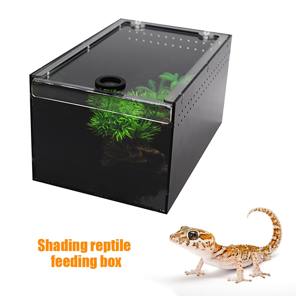 Parasol acrílico araña insecto lagarto Geckos caja de alimentación tortuga crianza de reptiles tanque terrario rectangular cubierta deslizante