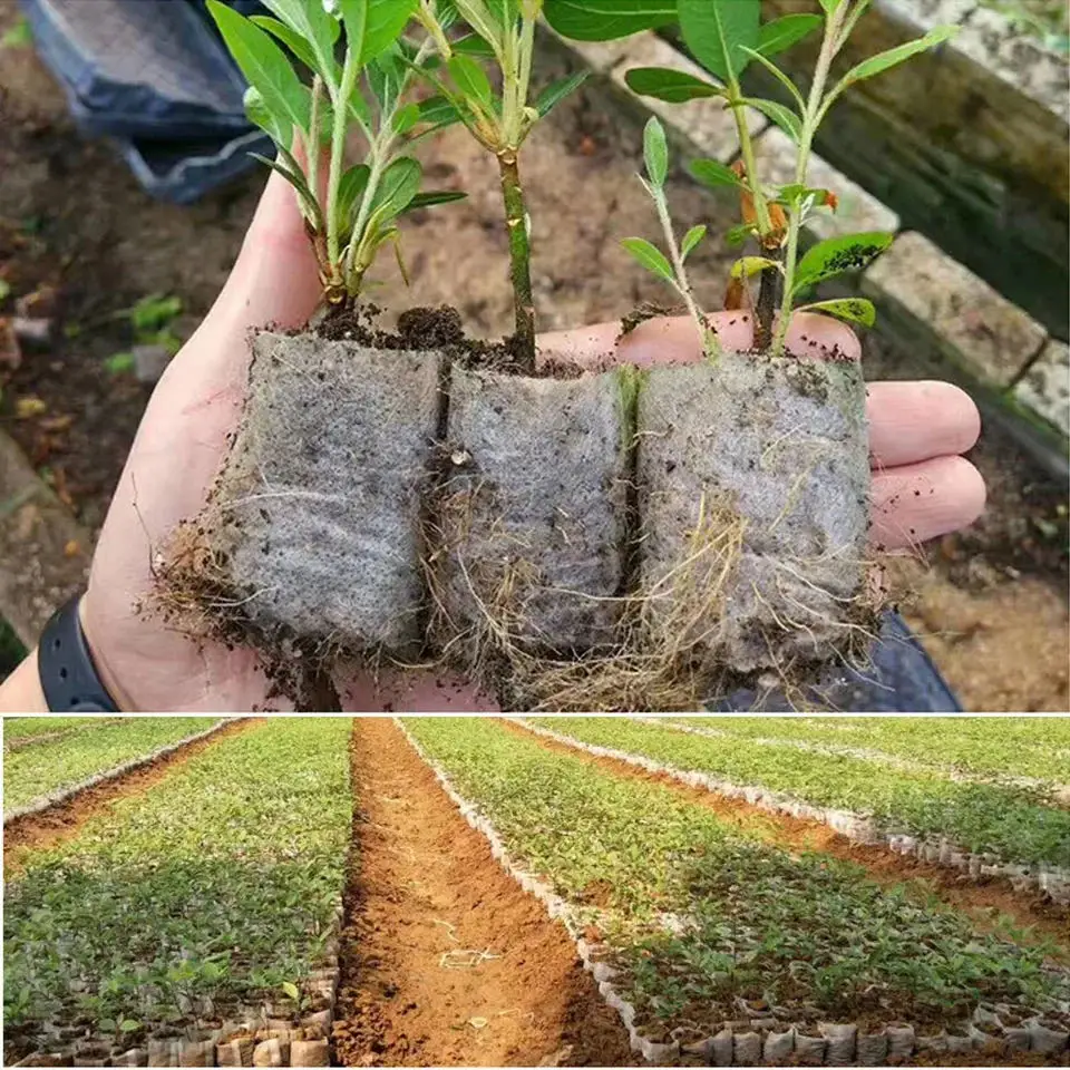 100 Uds. Bolsas biodegradables para vivero de semillas, bolsas para cultivo de plantas no tejidas, bolsa para plantas de macetas de tela, suministros para el jardín del hogar