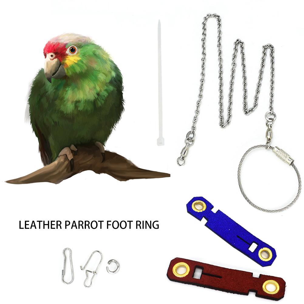 5 Maten Vogel Papegaai Voet Keten Lederen Voeten Ring Papegaai Voet Live Gesp Duif Fluwelen Voet Cover Leather Papegaai Voet ring Leash