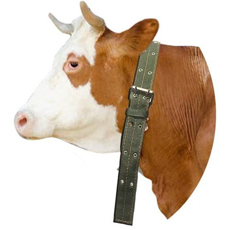 Uvey 2pcs large bundle Cattle Collars Wear-resistant Firm bundle Cattle Belt Thicken Tying cow Collar pasture tool