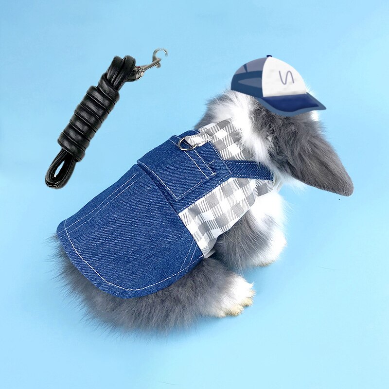 Vêtements en Denim pour animaux de compagnie, vêtements pour lapins, harnais avec laisse, gilet pour petits animaux, veste, ensemble pour furet, lapin, Hamster, fournitures pour petits animaux de compagnie