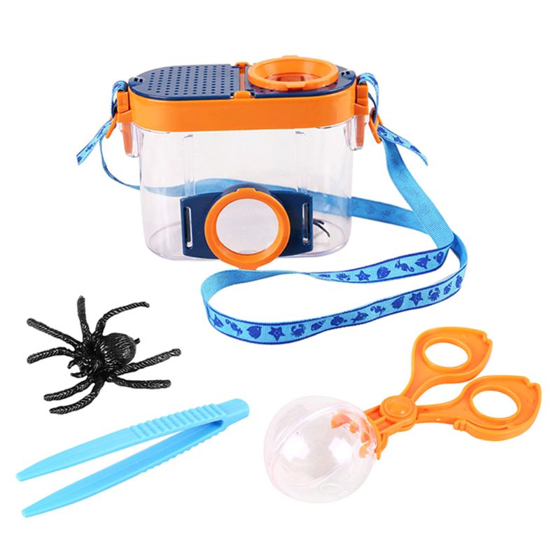 Vision d&#39;insecte avec Microscope grossissant, Observation de classe de Science pour enfants