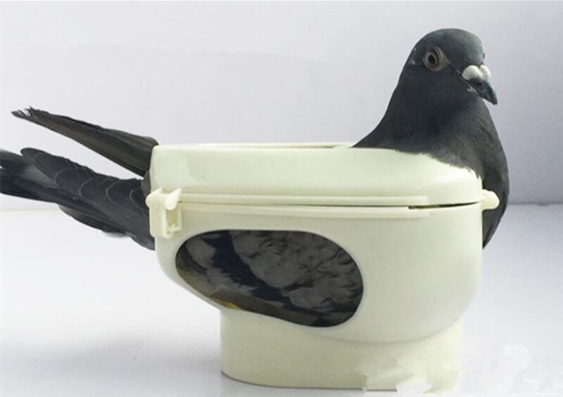 1pc Racing Pigeon Holder For Injection Feeding Fixed Mount Bird Supplies Box Pigeon Vaccination Feeding Fixed Bondage Tool