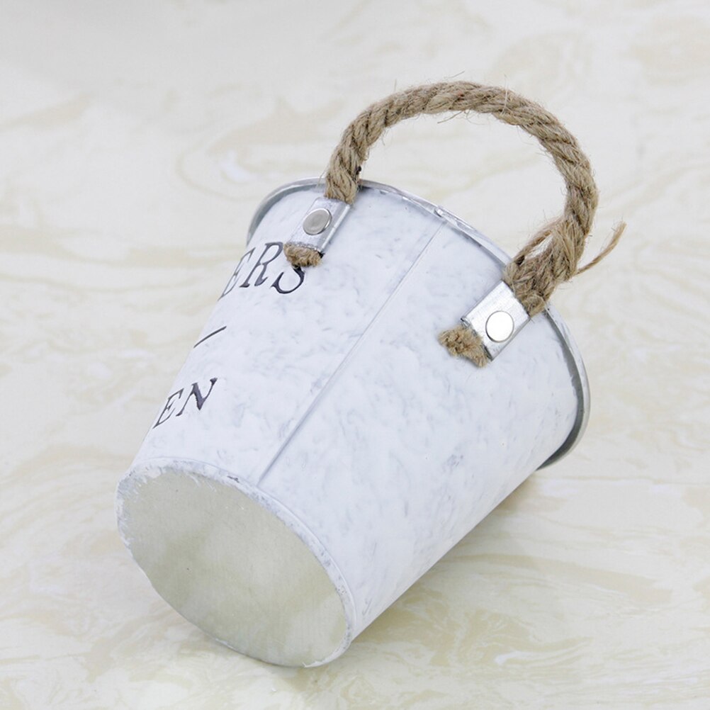 1Pc Emmer Duurzaam Praktische Decoratieve Ijzeren Bloempot Desktop Ornament Gieter Bloem Emmer Voor Tuin Koffie Thuis